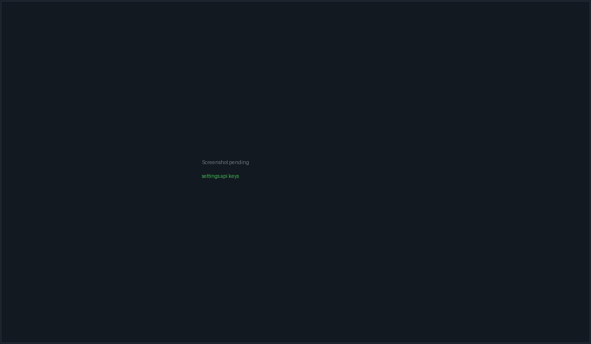 Settings, Providers and Models, with the API key card listing each provider and its status